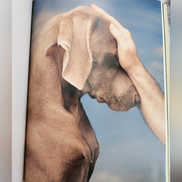 Polaroids Weimaraner Art Book - Picture 5 of 11